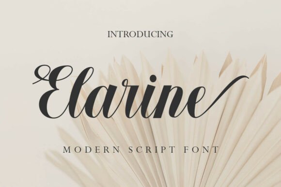 Elarine: The Font That Elevates Your Campaigns